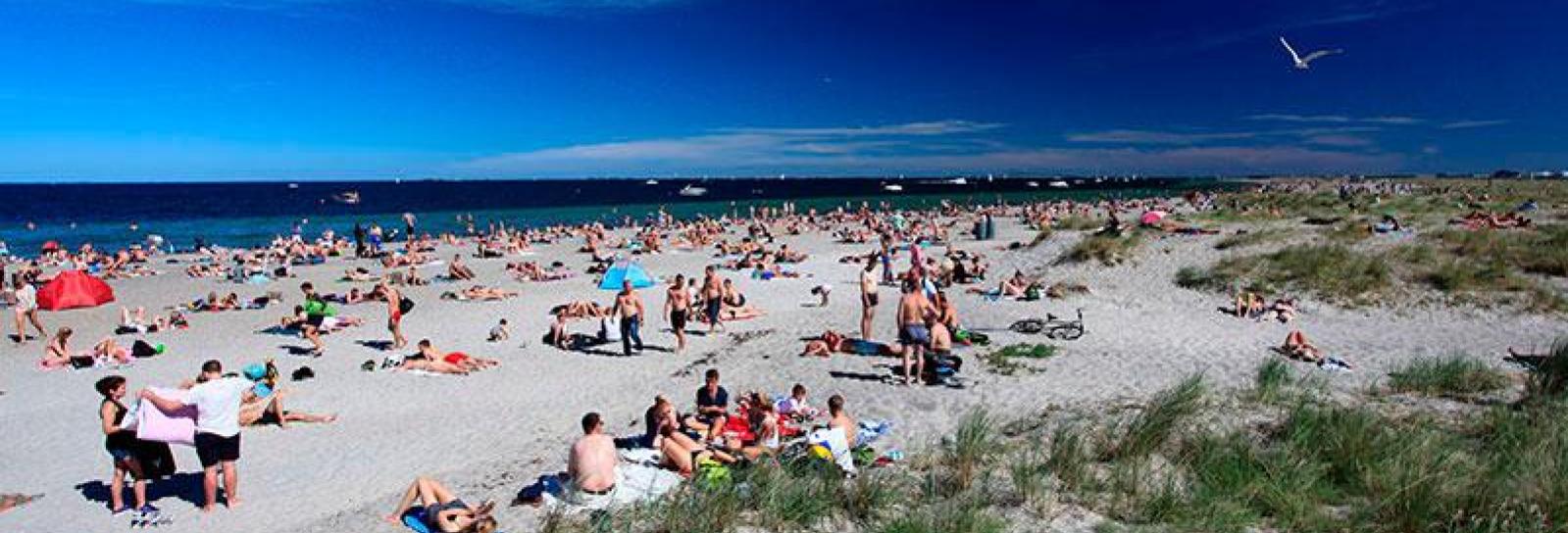 Sommerdag ved Amager Strandpark